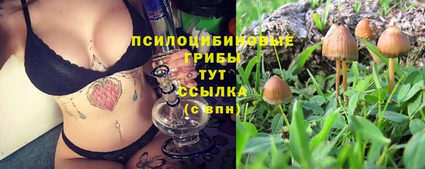 герыч Аркадак