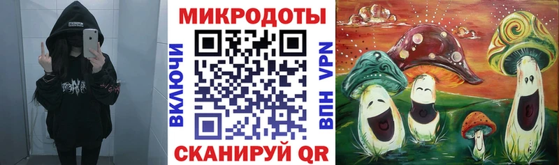 Псилоцибиновые грибы Psilocybine cubensis  Купить  Пошехонье 